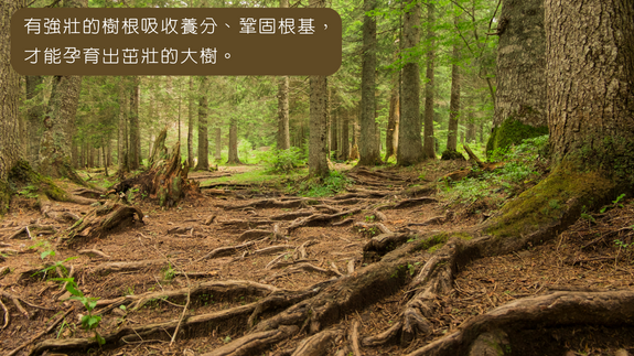 有強壯的樹根吸收養分、鞏固根基, 才能孕育出茁壯的大樹。.png - 2022年USANA消化酵素