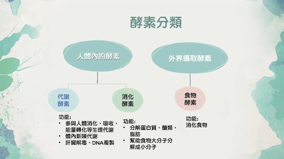 酵素的分類.jpg - 2022年USANA消化酵素