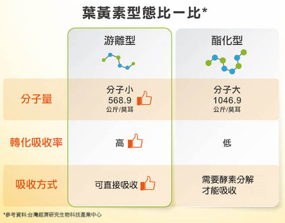 市面上的葉黃素比較～葉黃素的結構形式會影響其吸收利用率，主要可分成二大型態：游離型（Free form）與酯化型（Ester form）。
